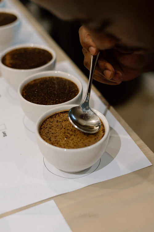 Ekhaya Public Cupping